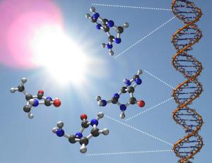 Wie widerstehen DNA-Bestandteile schädlicher UV-Einwirkung