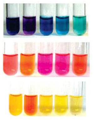 Farben verschiedener Metallo-Polyelektrolyte