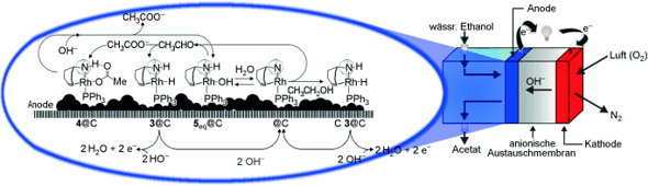 Metallorganische Brennstoffzelle mit Rhodium