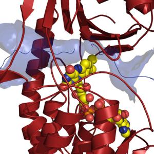 Monooxygenase TetX