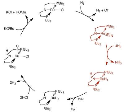 Milde Ammoniaksynthese