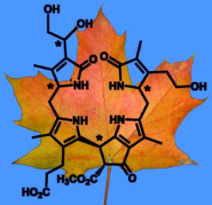 Dioxobilan