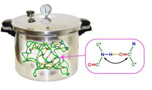 Modellprotein Ubiquitin