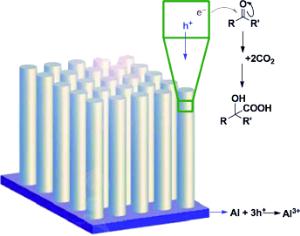 Kopfwehmittel per Photosynthese Kopfwehmittel per Photosynthese