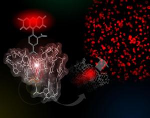 2-Azido-RNA