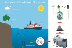 Gedächtnis des Meerwassers