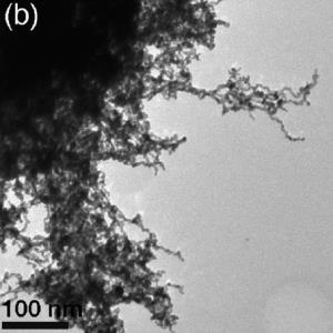 Platin-Palladium-Aerogel