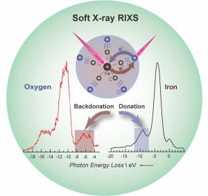 Soft X-rax RIXS Soft X-rax RIXS