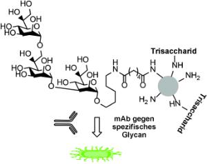 Detektion von Yersinia pestis