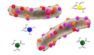 Antibakterielle Nanodiamant-Typen