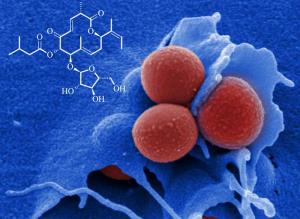 Disciformycin Antibiotikum