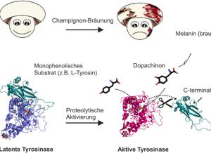 Chemie In Der Kuche