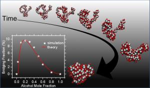 Polymer collapse dynamics