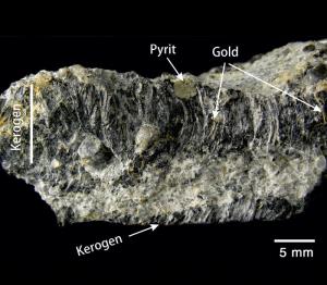 Sedimentgestein Witwatersrand