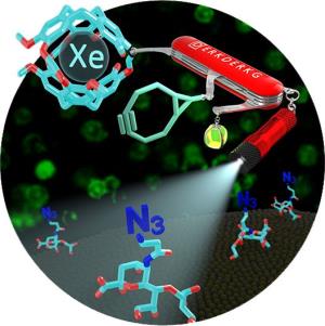 Xenon-Kernspintomographie von Glykanen