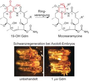 Mcrearamycin Wirkstoffe