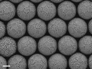 Kolloidaler Cluster Kolloidaler Cluster